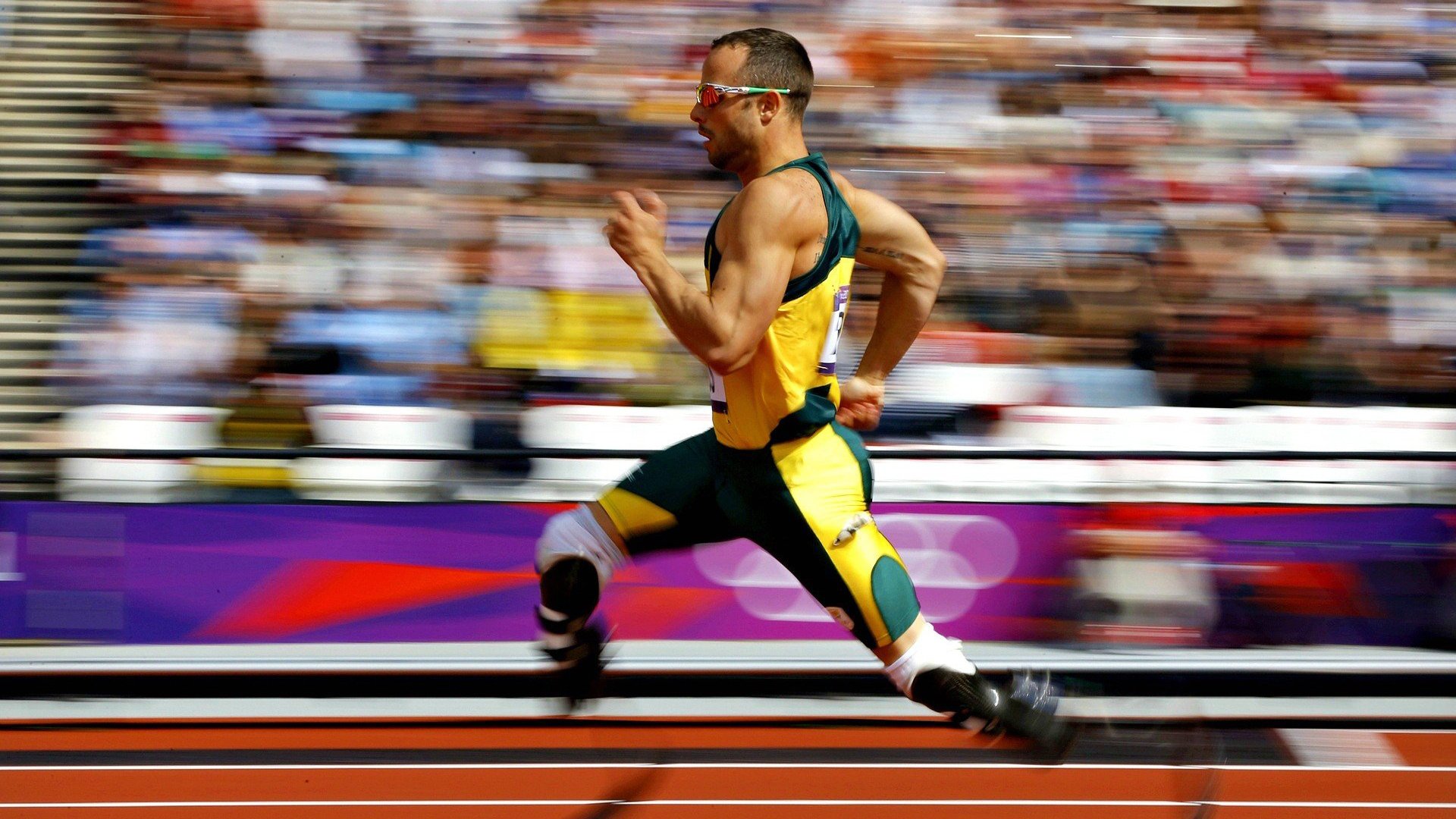 《职业选手的生活：除了比赛还有哪些精彩？》，职业选手是什么工作